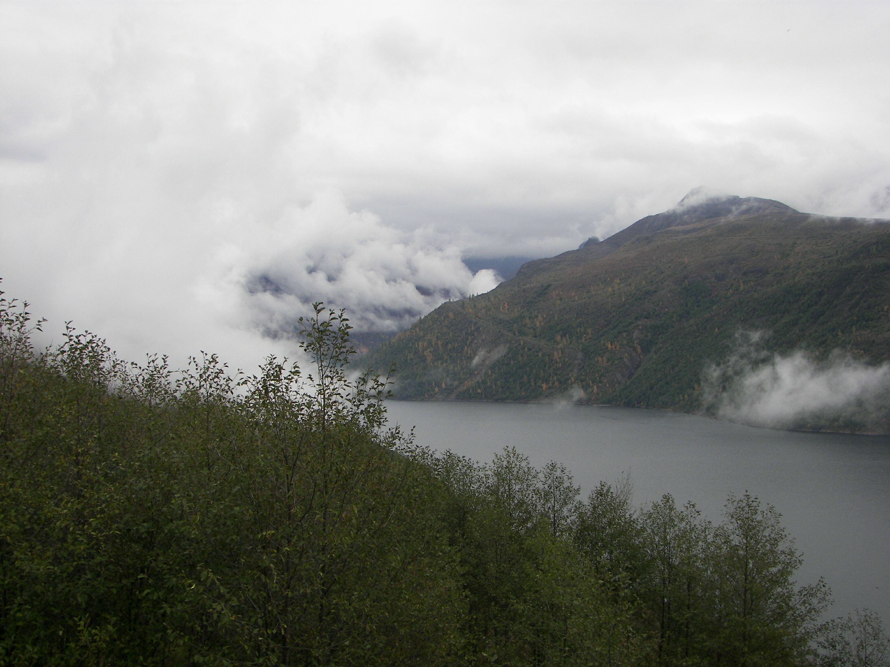 Cold water lake as seen from the Coldwater Ridge Visitor Center